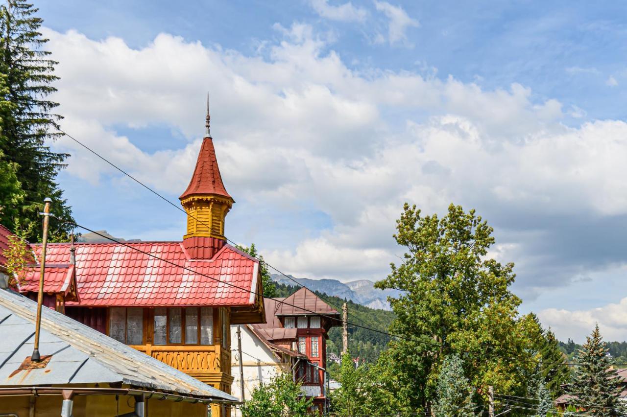 Mountain Oasis Apartment Sinaia Zewnętrze zdjęcie