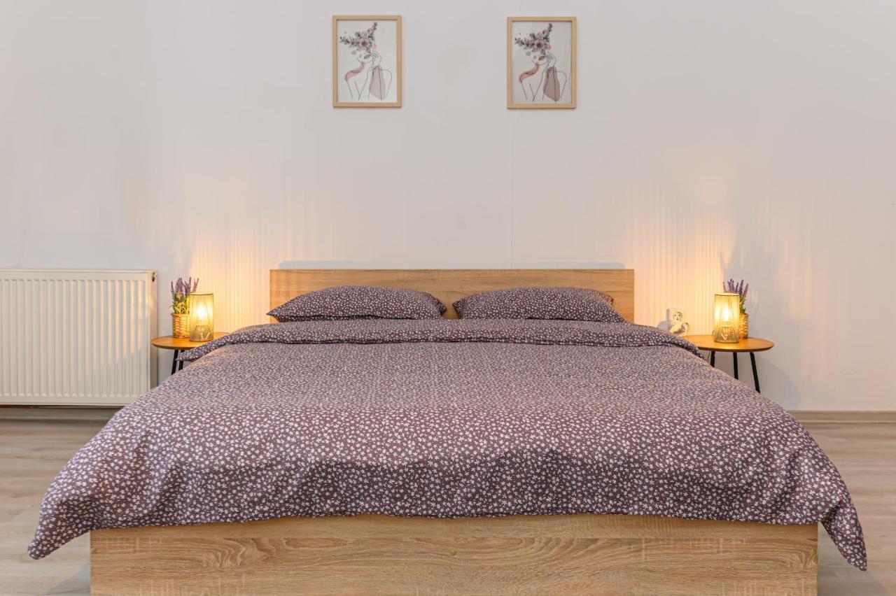 Mountain Oasis Apartment Sinaia Zewnętrze zdjęcie
